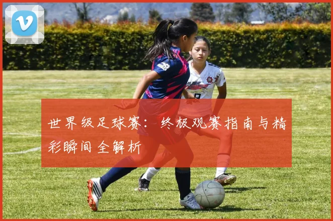 世界级足球赛：终极观赛指南与精彩瞬间全解析